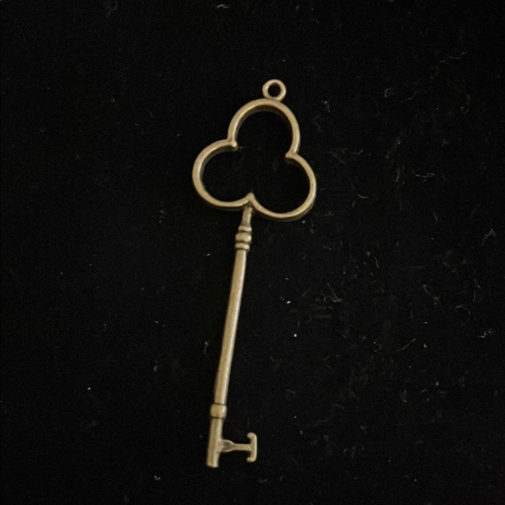 Gold Skeleton Key Pendant